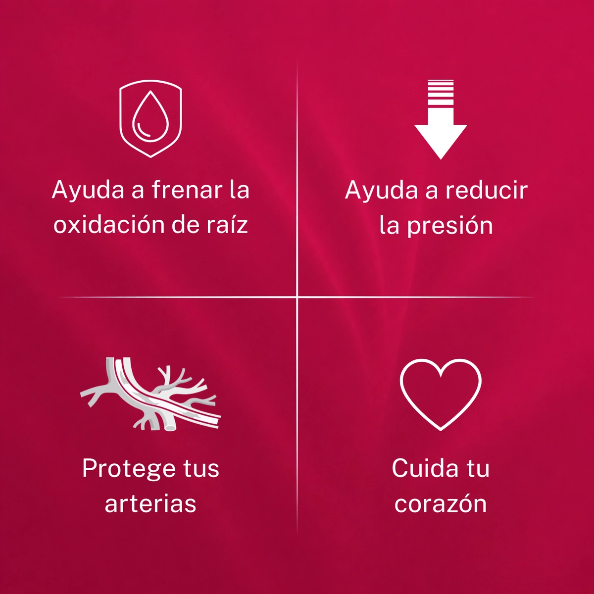 Cuatro beneficios de VitaRoja: frena la oxidación de raíz, ayuda a reducir la presión, protege tus arterias y cuida tu corazón