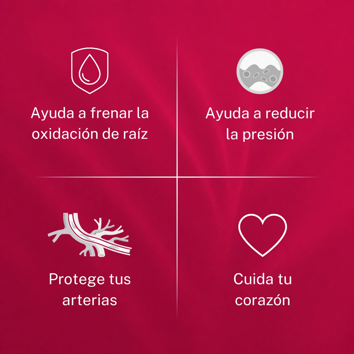 Cuatro beneficios de VitaRoja: frena la oxidación de raíz, ayuda a reducir la presión, protege tus arterias y cuida tu corazón